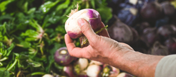 Imagen guía del viajero responsable