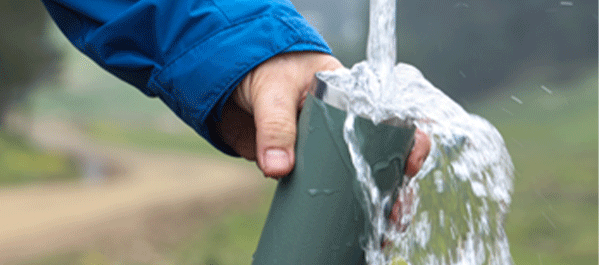 Imagen guía del viajero responsable